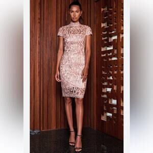 Tadashi Shoji Blush Pink Lace Midi Dress